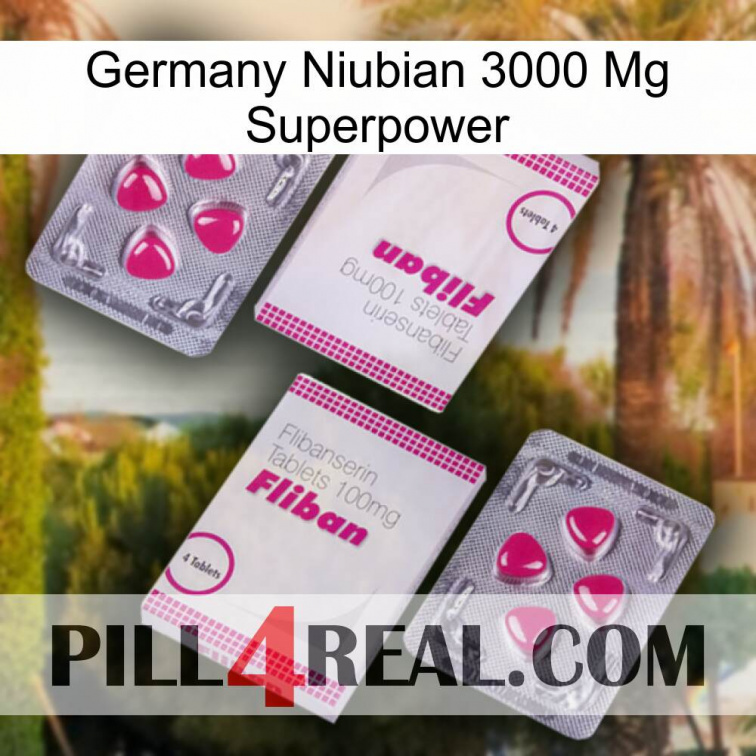 Germany Niubian 3000 Mg Superpower 33